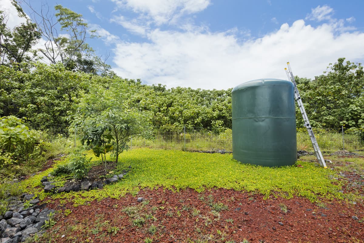 green_photos