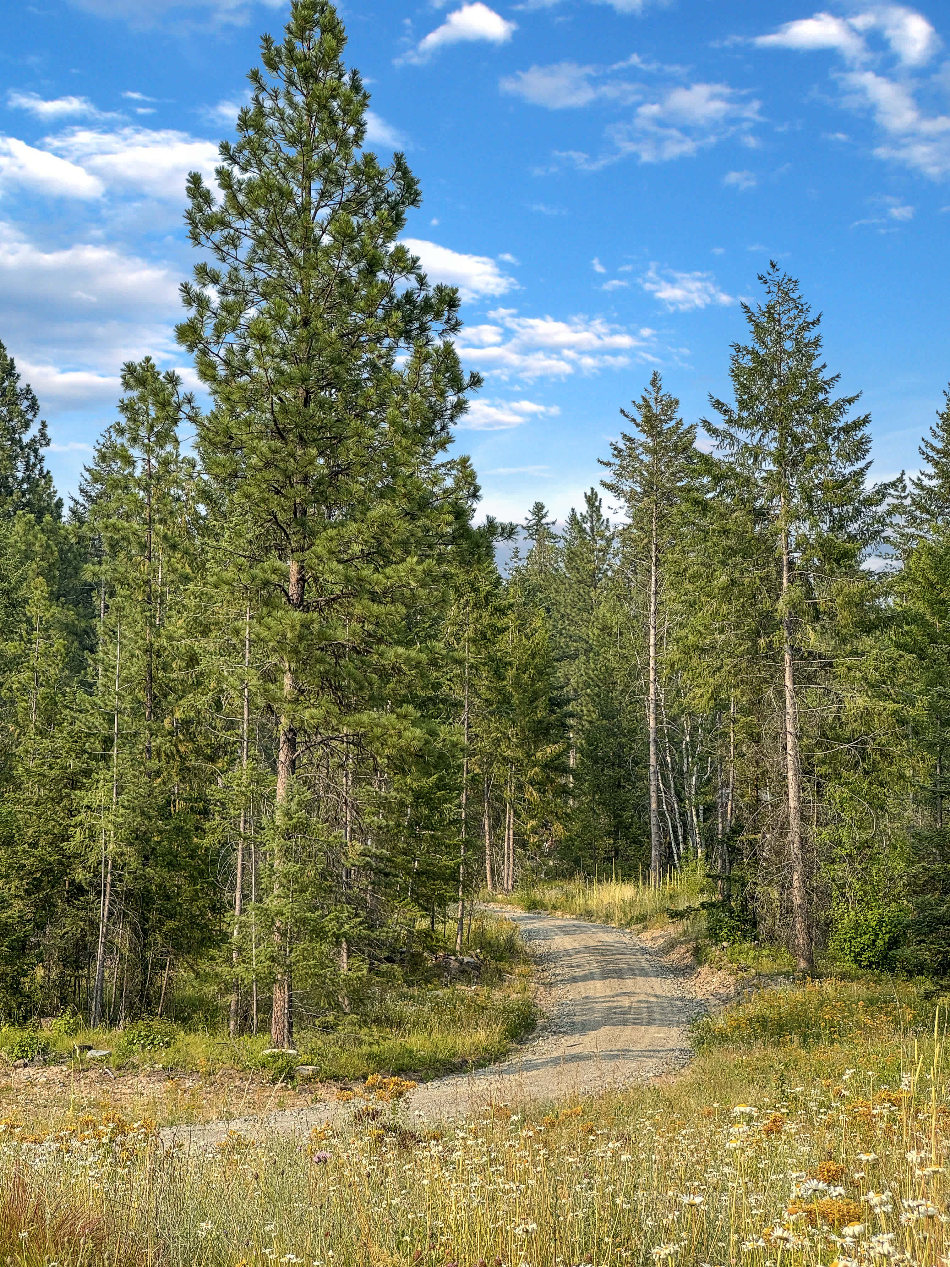 listing-thumbnails