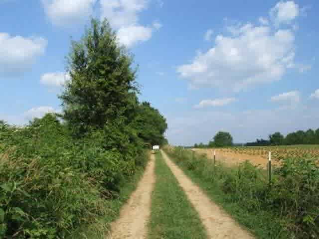 listing-thumbnails