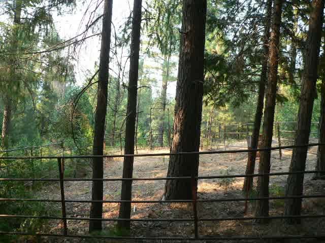 listing-thumbnails