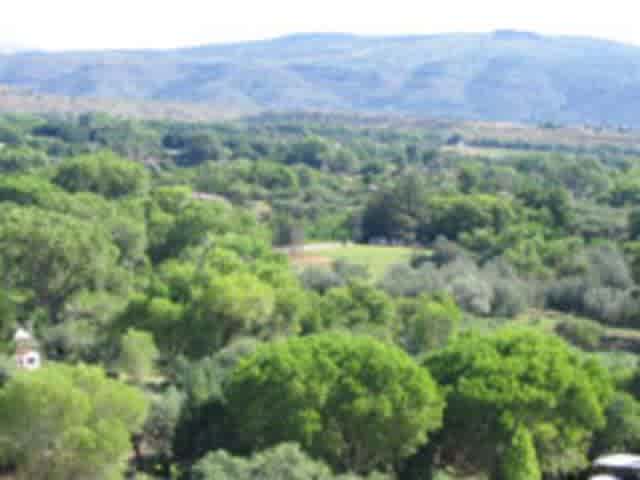 listing-thumbnails