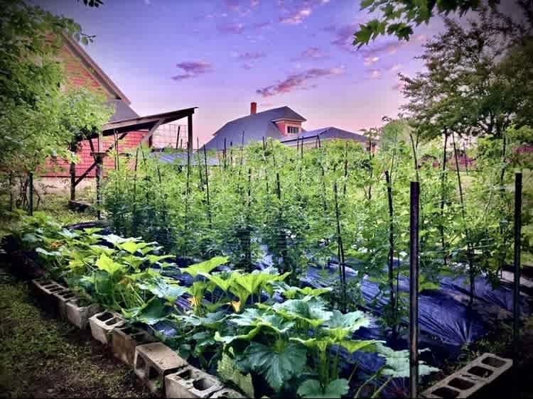 listing-thumbnails