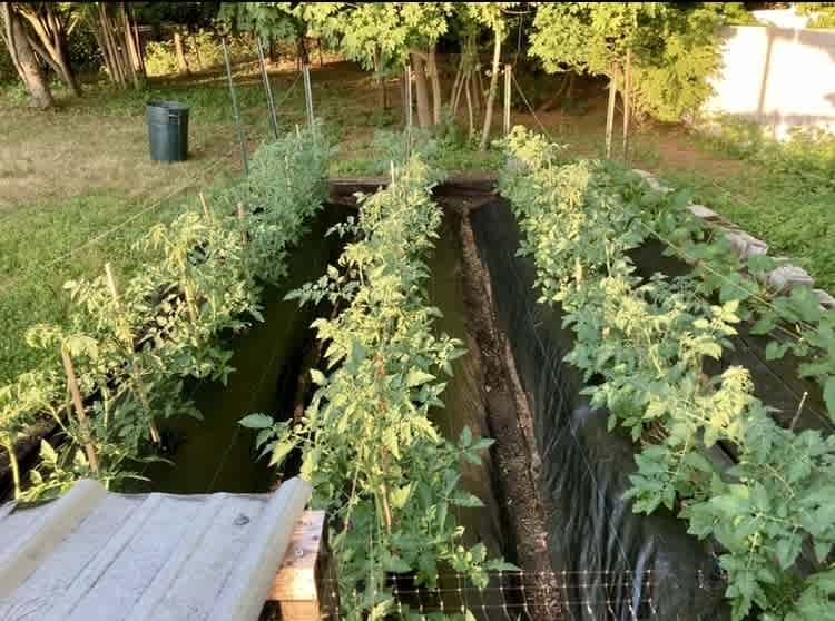 listing-thumbnails